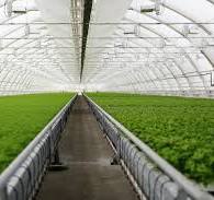 composting
